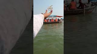 Shot from Triveni sangam #trivenisangam #prayagraj #india