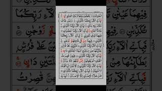 Surah Rahman #shorts #shortvideo #messageofislamofficial #quranrecitaion #quransurah