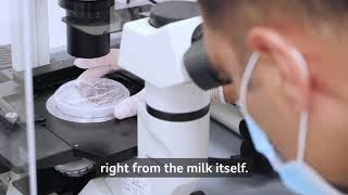 BBC: The ‘green’ milk made from cells