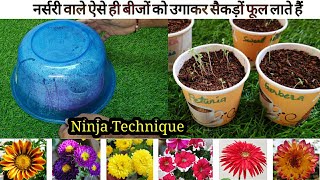 Trick To Grow Winter Flower Plant With 80% Plants Survival #WinterFlower #RoofGardening