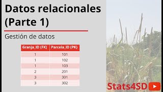 Datos relacionales (Parte 1)