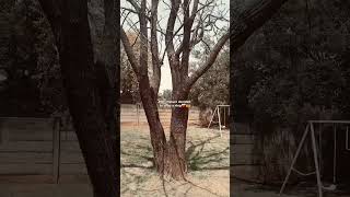 The wind Is winding #fyp #trending #viralvideo #nature #southafrica #popular #shorts