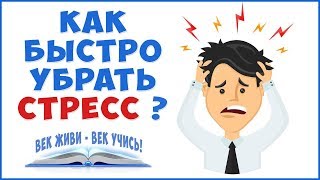 СТРЕСС. Убрать стресс - убрать болезни!