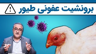 Poultry infectious bronchitis برونشیت عفونی طیور