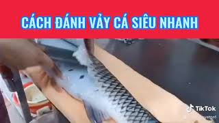 CÁCH ĐÁNH VẢY CÁ SIÊU NHANH