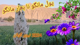 #quettamotion new flower in 2024 /new mounatian flower /village