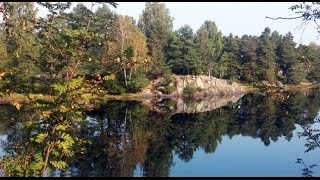 Åsbieskogen Rundt