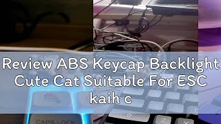 Review ABS Keycap Backlight Cute Cat Suitable For ESC kaih cherry MX Mechanical Keyboard