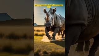 🦏 Mind-Blowing Rhino Facts You Won't Believe! 😲