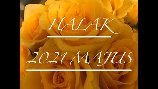 HALAK 2021 MAJUS