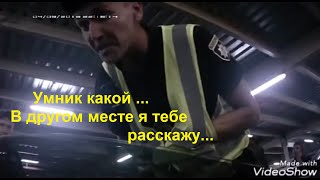 Помурчал, обиделся, убежал...