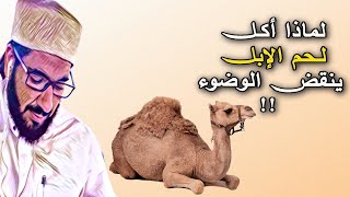 حكم الوضوء من لحم الإبل ومرقها ولبنها / الشيخ محمد عبد الواحد الحنبلي