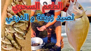 إصطدنا أسماك زريقة و الدرعي طوال الليل 🌙بالطعم السحري (ما كاين غير جبد)🎣🐟🏝️🦀🐙🦑🪱