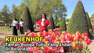 KEUKENHOF, Taman Bunga Tulip Yang Indah di Belanda