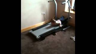 Treadmill Dive