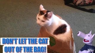 DON'T LET THE CAT OUT OF THE BAG ! SAM'S LITERAL MEANINGS | Sam The Ham