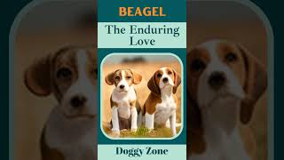 Beagle: The Enduring Love | Dog Breeds | Dog Lovers