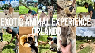 Exotic Animal Experience Orlando