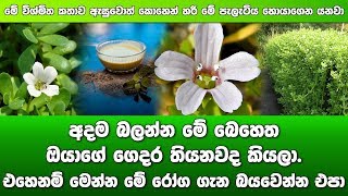 සෑම ගෙදරකයටම වේද මහතෙක් කීවොත් නිවැරදි.