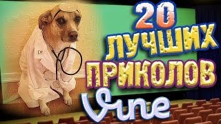 Лучшие Приколы Vine! (ВЫПУСК 27) [17+]