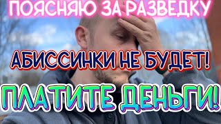 ПОСЛУШАЙ!!! ПОЯСНЯЮ ЗА РАЗВЕДКУ ПРИ БУРЕНИИ АБИССИНСКИХ СКВАЖИН.