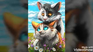 Warriors cats Swiftpaw And Brightpaw