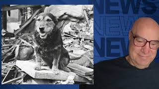 War hero DOG #226 Positive NEWS