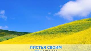 «Падают листья», ефим аграновский  караоке и текст песни