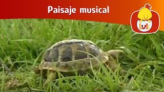 Paisaje musical: Lluvia - Viento, para niños - Non