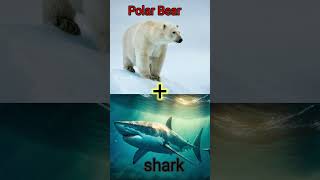 animal fusion : Polar Bear and hammer sark  Buffalo and gorilla Electric eel and Bee  #animals