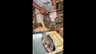 Artisan Fish Cutting Tilapia Fish Cutting Skills Live Fish Cutting and Cleaning