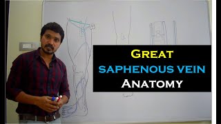 Great saphenous vein Anatomy: Location, Course, Tributaries  - (Full lecture link  in description)