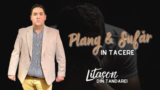 Litason Din Tandarei - Plang Si Sufar In Tacere (cover Rebeca Ghica) 2023