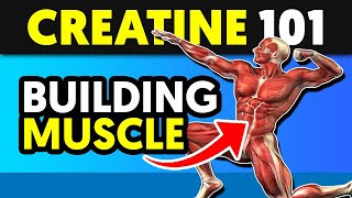 Why Creatine is the Best Muscle Building Supplement