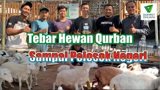 DOMPET DHUAFA TEBARKAN HEWAN QURBAN SAMPAI PELOSOK NEGERI