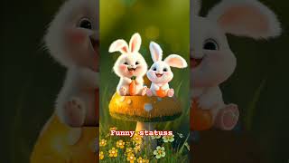 Funny from rabbit 🐰 | WhatsApp status | WhatsApp stories | cute baby || 🐰🐰🐰🐰🐰🐰🐰🐰🙏🙏🙏🙏😊😊😊😊😊😊😊😊😊😊😊😊😊