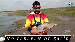 PESCA EN PUENTE LA HORQUETA ☆ lezama 2021