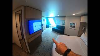 Spectrum of the Seas - Porthole Room Deck 11 forward. Room 11510 #spectrumoftheseas