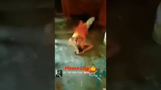 Aarti and chhotu Aarti #araria #raniganj#😭😭😭😭😭#short #video#