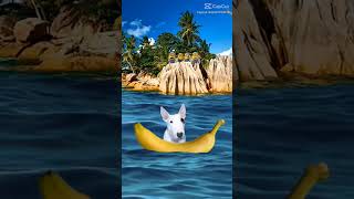 Bababa-bananahh🤣 #shorts #funny #amazing