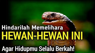 CEPAT LEPASKAN!! Jangan sampe hewan ini ada di rumah mu, Bisajadi Rumahmu Tidak Berkah