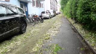 2015 Freiburg nach dem Unwetter vom 13.05.2015