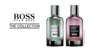 Boss The Collection Invincible Bergamot Passionate Chypre