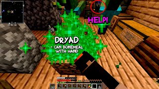 The Dryad Life (Minecraft Origins)