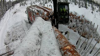 Mäntytukkia kyytiin. Kamera kourassa. Loading pine logs. grapple view. #volvotrucks #kesla #alucar