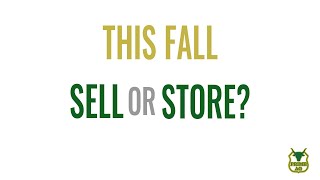 Sell or store grain this fall?