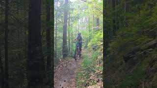 E Bike im Schwarzwald: Felsentrail Hornberg mit dem EMTB