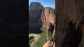 Views of Angels Landing on FILM 🎞️#film #zion #utah #photography #largeformat #travel