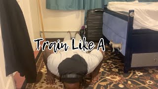 I Attempted 75 Push-Ups