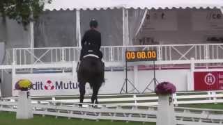 Cooley Dream Extreme - Le Lion 6yo World Championships